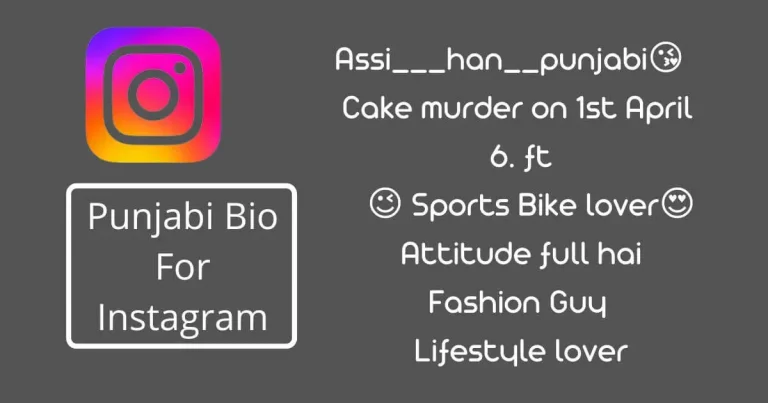 Punjabi bio for instagram text with instagram logo