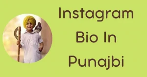 Best Instagram Bio In Punjabi For Girls And Boys 2023