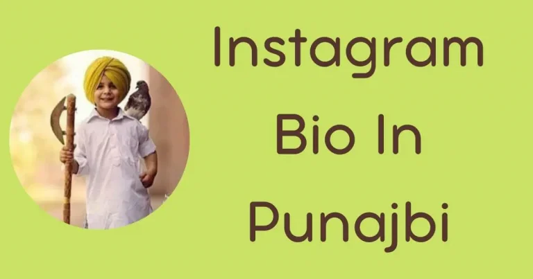 instagram bio in punjabi text with a punjabi boy