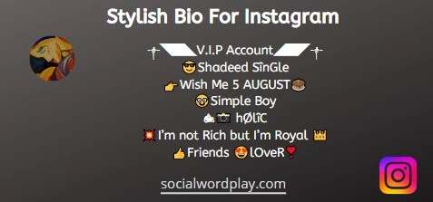 stylish bio for instagram