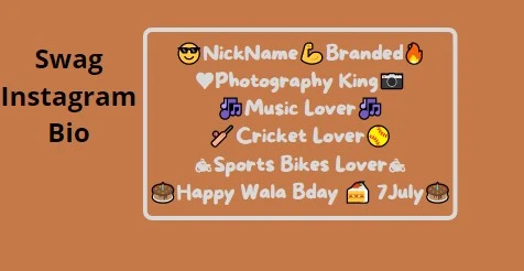 swag bio for instagram text with emojis