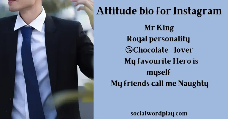 attitude bio for instagram text with a boy's picture on left