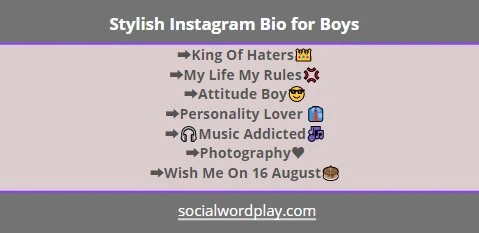 stylish instagram bio for boys