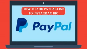 Learn How To Add PayPal Link To Instagram Bio 2022