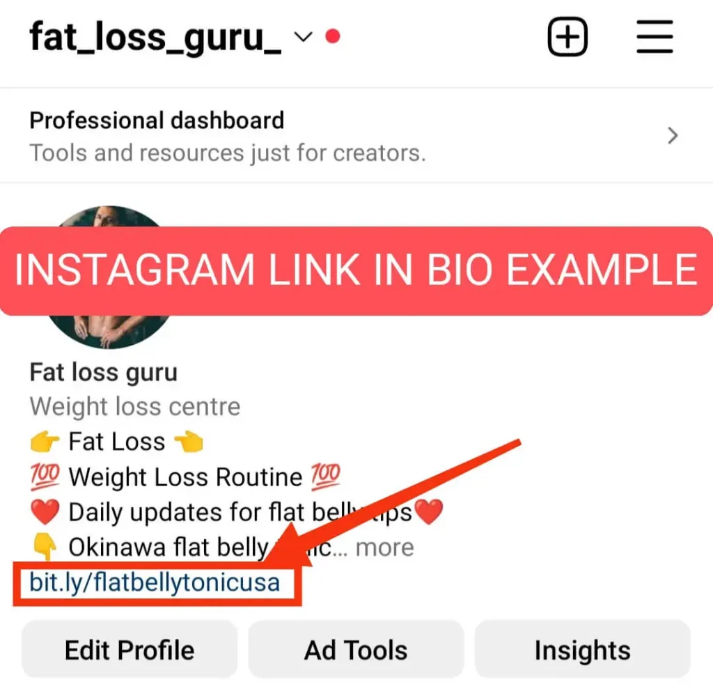 instagram link in bio example