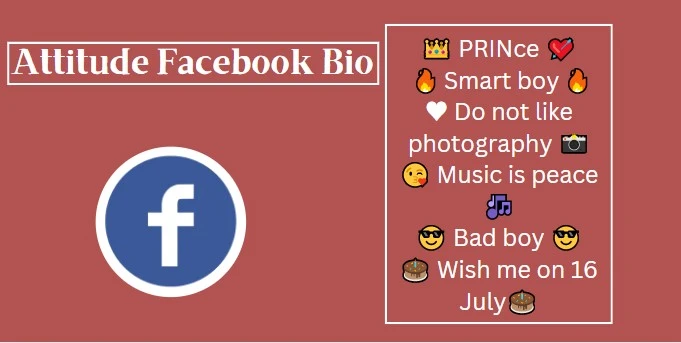 fb attitude bio text with facebook logo