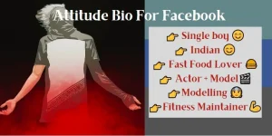 Best Attitude Bio For Facebook 2022