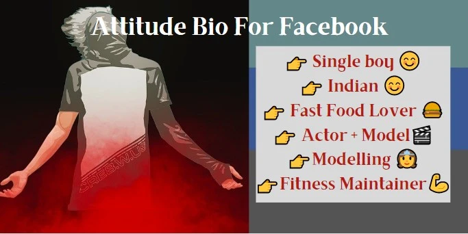 a vector image on left and fb bio text on the right