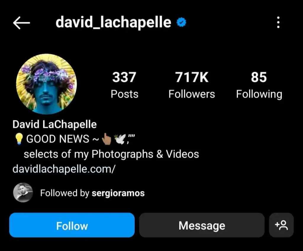 photographer david lachapelle's instagram bio section