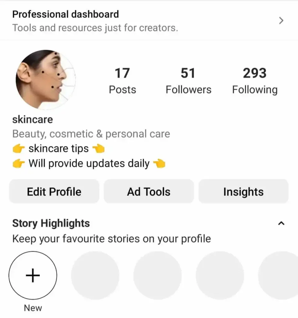 instagram profile bio section