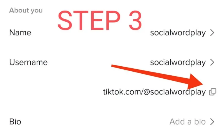 step 3 of adding your tiktok link to instagram bio