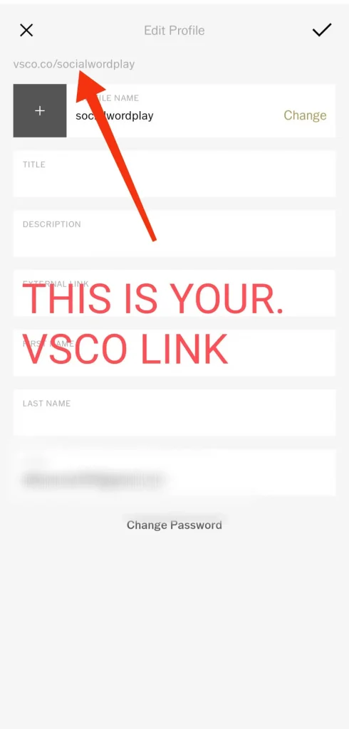 step 3 how to get your vsco link