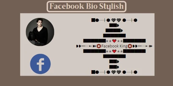 facebook bio stylish name