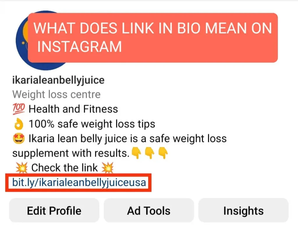 what does link in bio mean on instagram 